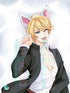 Miyuki Shirogane Body pillow case KAGUYA SAMA Mitgard-Knight